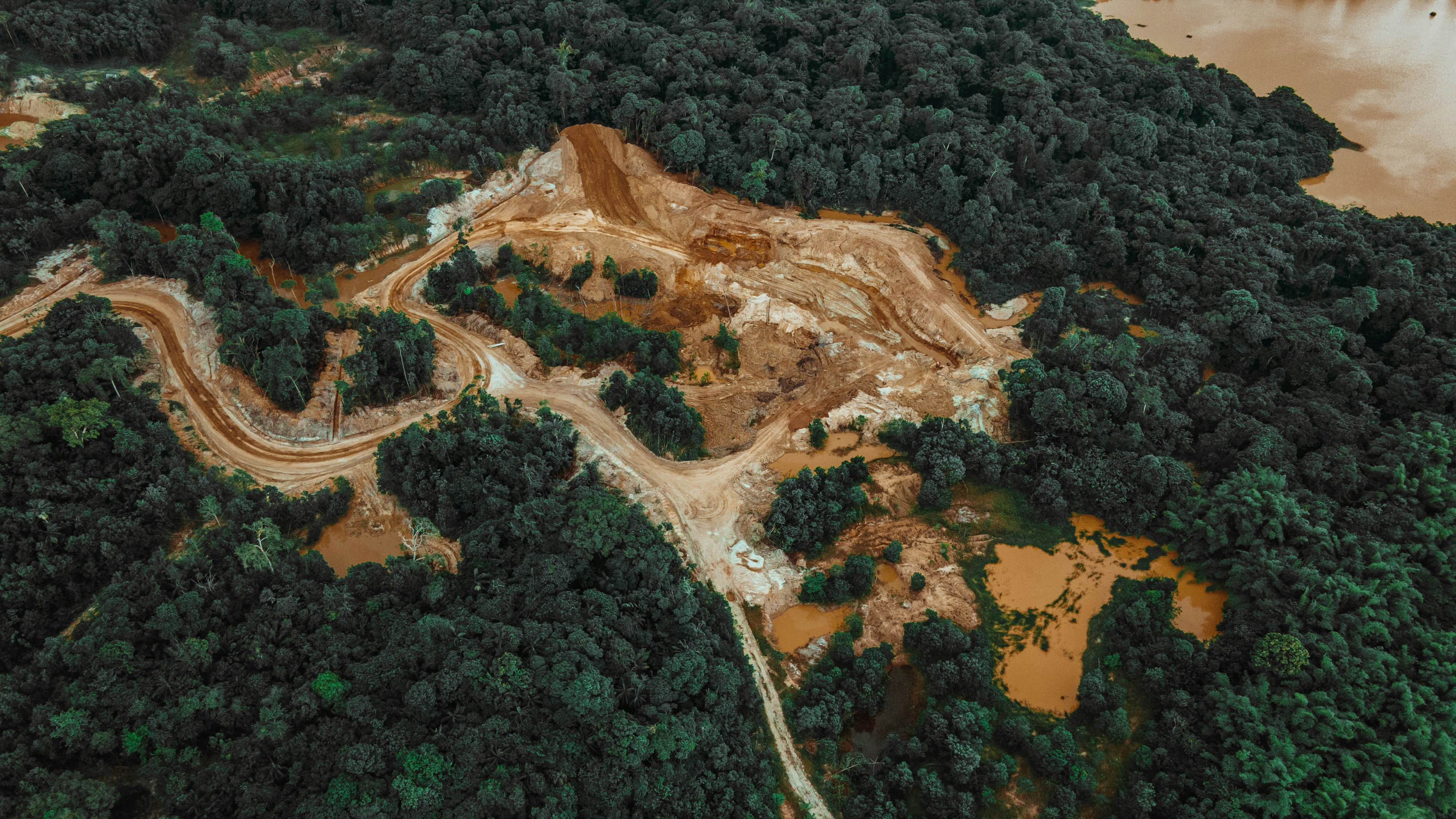 Deforestation in Amazon Rainforest